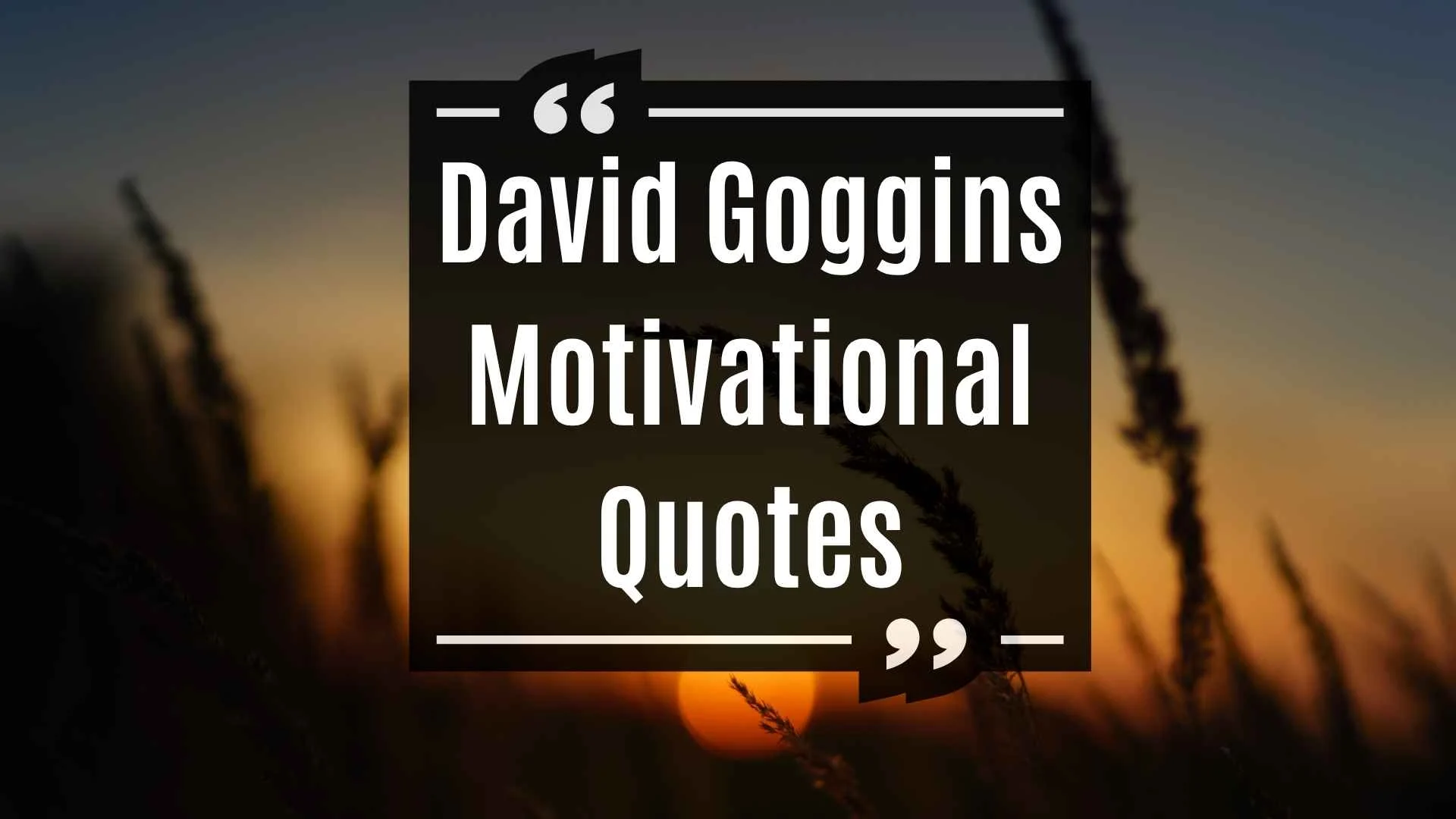 David Goggins Motivational Quotes