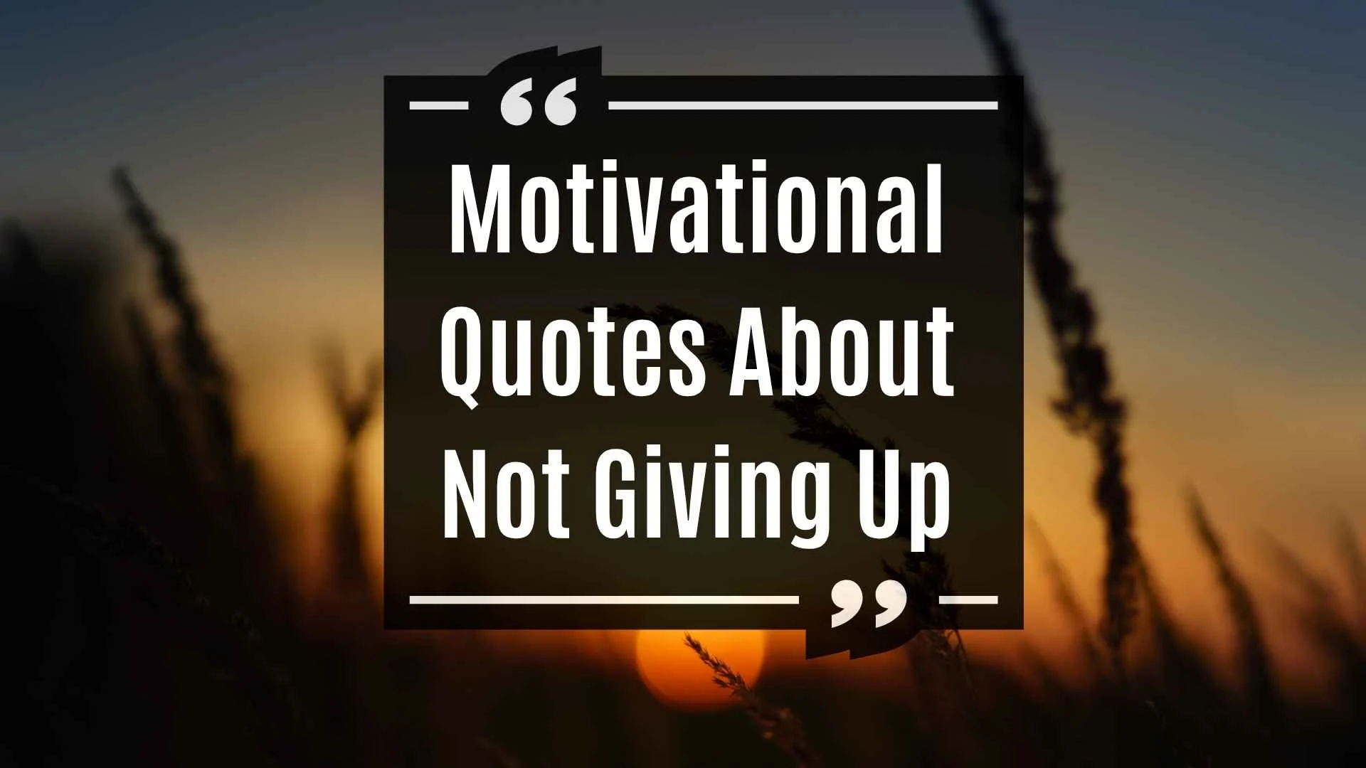 Motivational Quotes About Not Giving Up